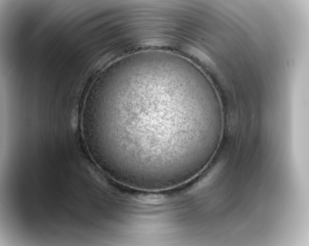 X0000088410833200706051152