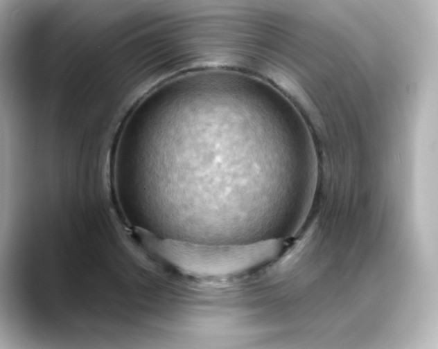 X0000088410842200706051152