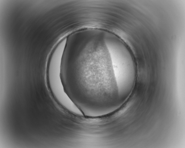 X0000088410845200706051152