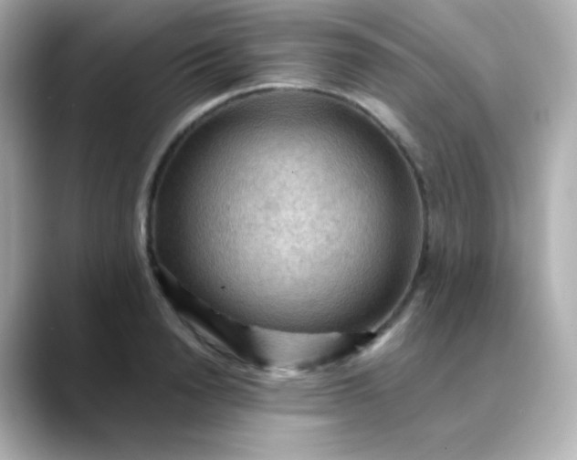 X0000088410846200706051152