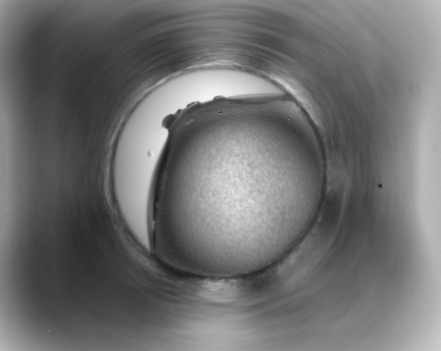 X0000088410850200706051152