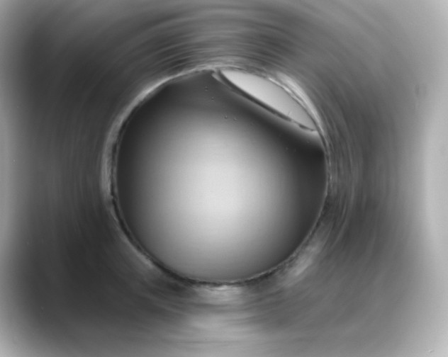 X0000088410851200706051152