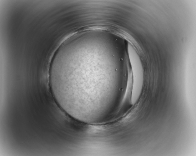 X0000088410852200706051152