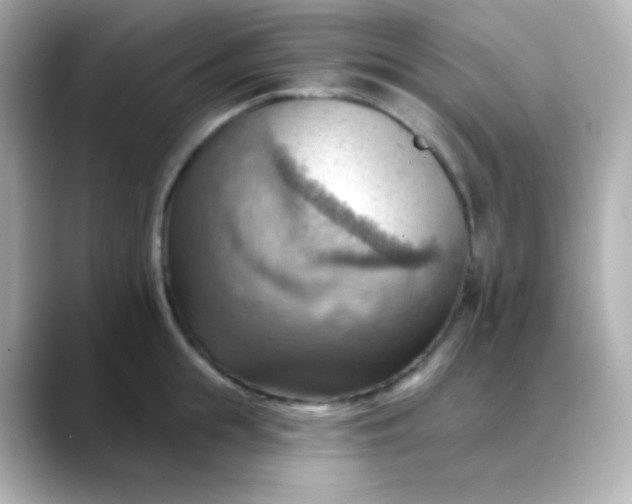 X0000088410855200706051152