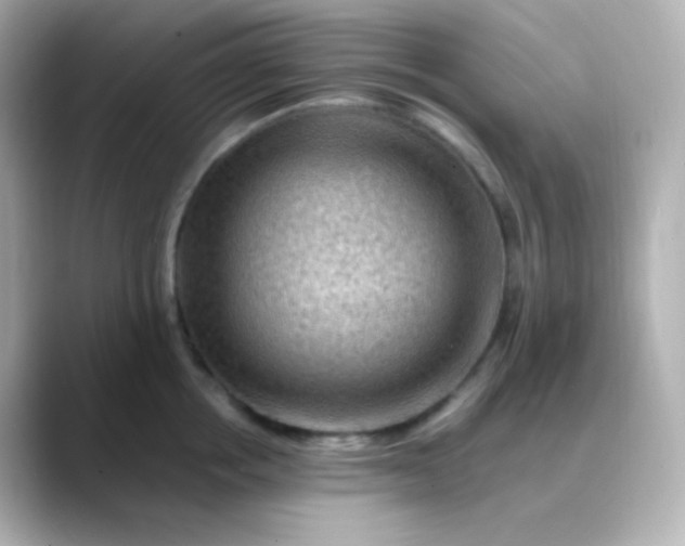 X0000088410858200706051152