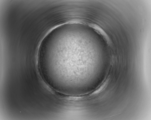 X0000088410860200706051152