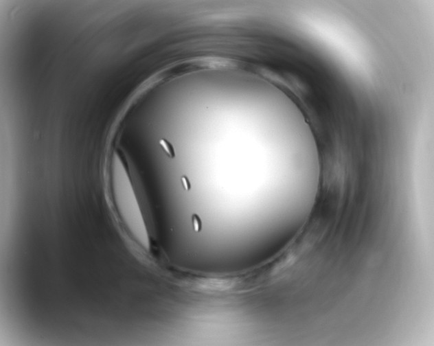 X0000088410861200706051152
