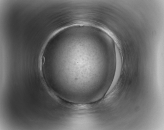 X0000088410862200706051152