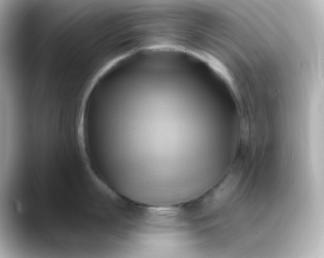 X0000088410863200706051152