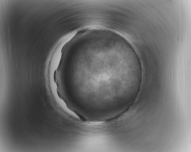 X0000088410864200706051152