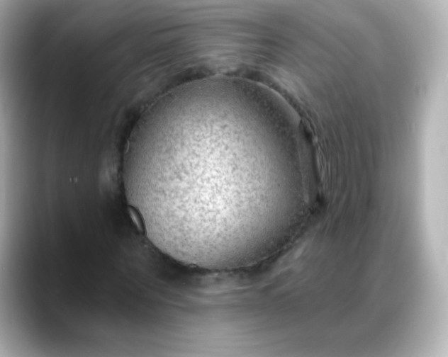 X0000088410867200706051152