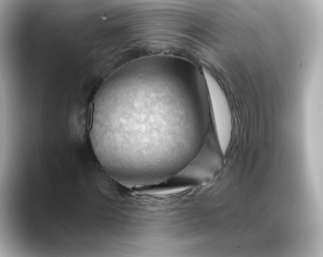 X0000088410868200706051152