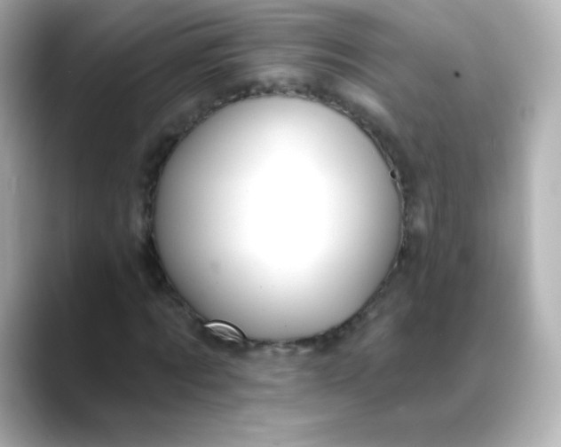 X0000088410869200706051152