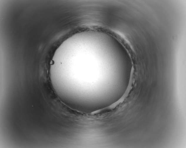 X0000088410871200706051152