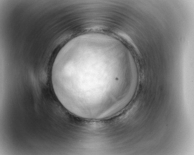 X0000088410874200706051152
