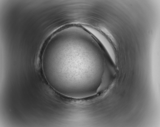 X0000088410876200706051152