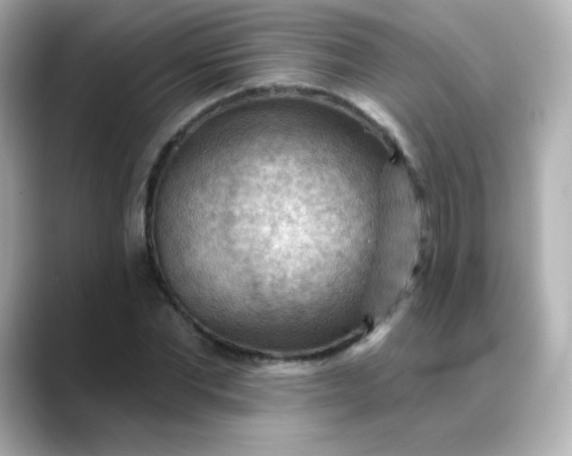 X0000088410877200706051152