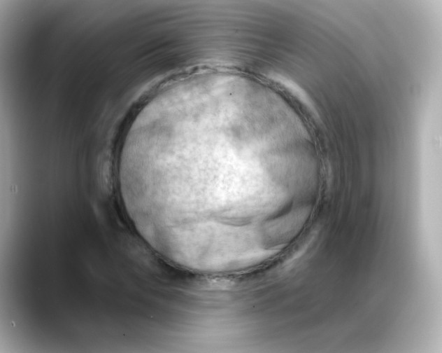 X0000088410878200706051152