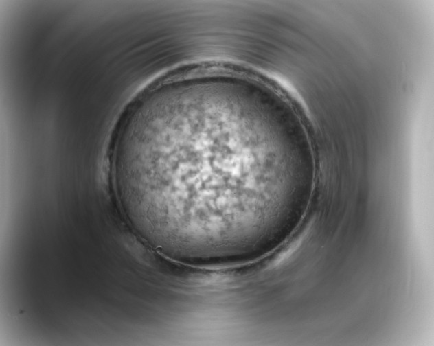 X0000088410879200706051152