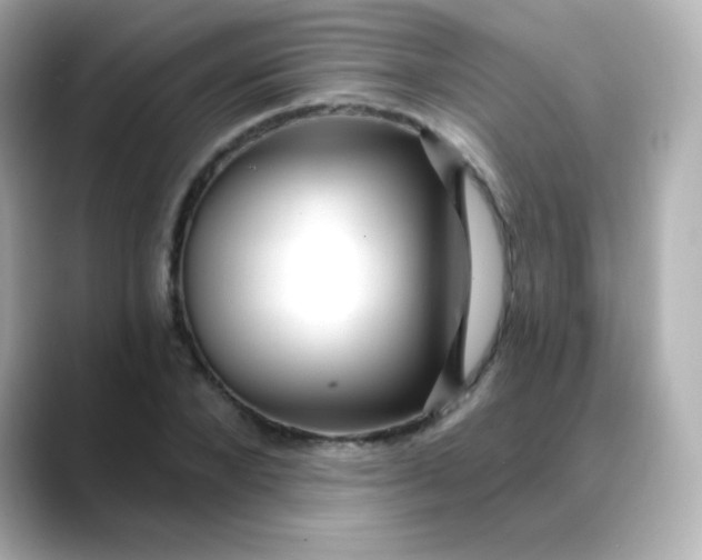 X0000088410880200706051152
