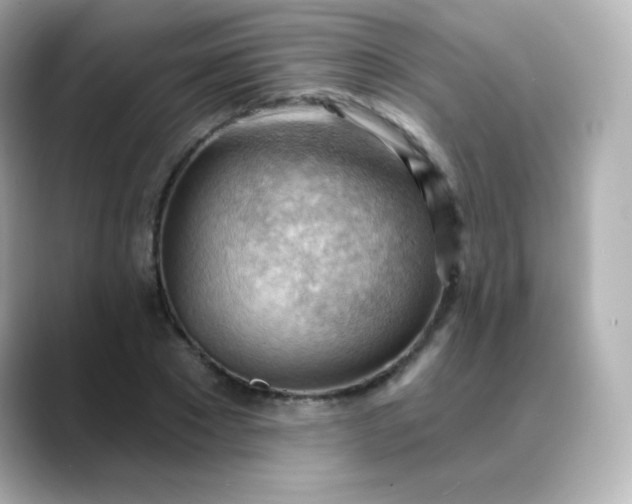 X0000088410881200706051152