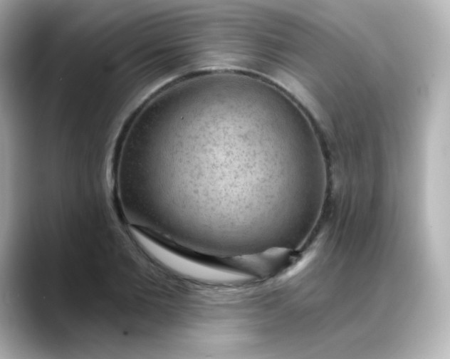 X0000088410885200706051152
