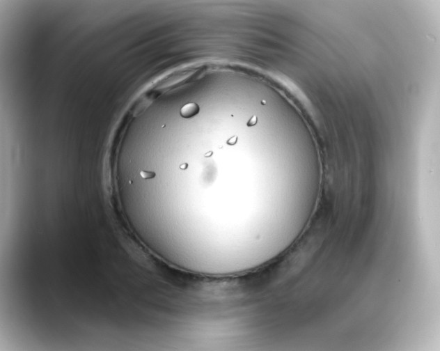 X0000088410887200706051152