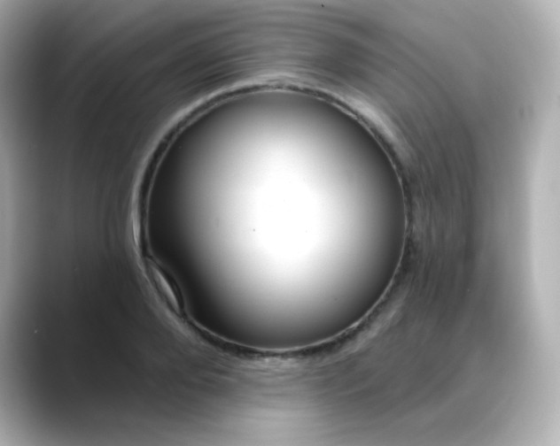 X0000088410888200706051152