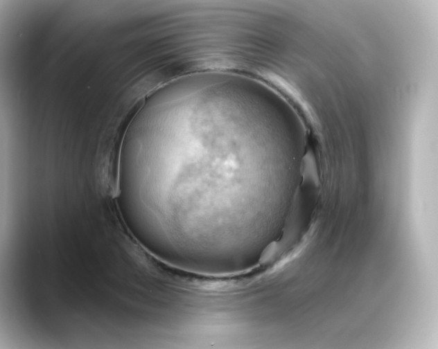 X0000088410889200706051151