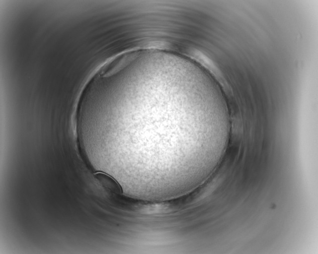 X0000088410891200706051151