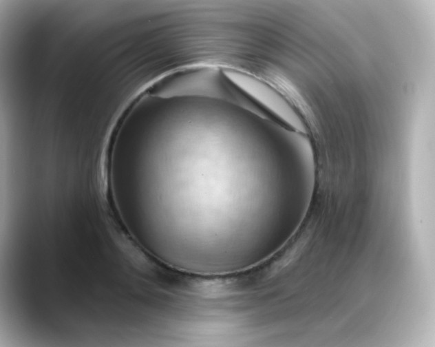 X0000088410892200706051151