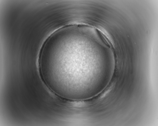 X0000088410893200706051151