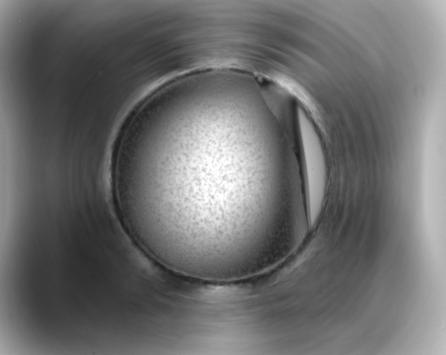X0000088410894200706051151