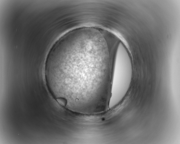X0000088410895200706051151