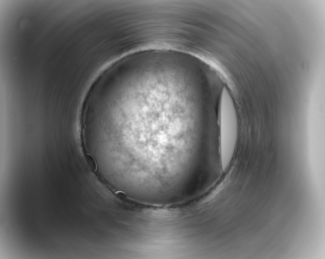 X0000088410896200706051151