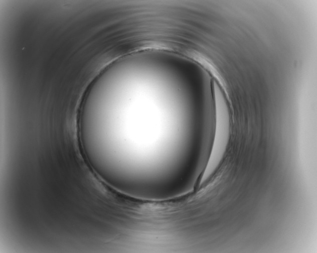 X0000088410898200706051151