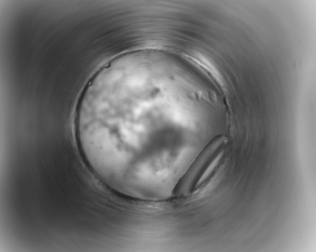 X0000088410899200706051151