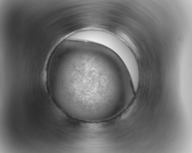 X0000088410900200706051151