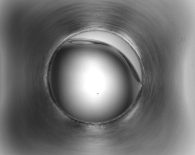 X0000088410901200706051151
