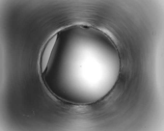 X0000088410902200706051151