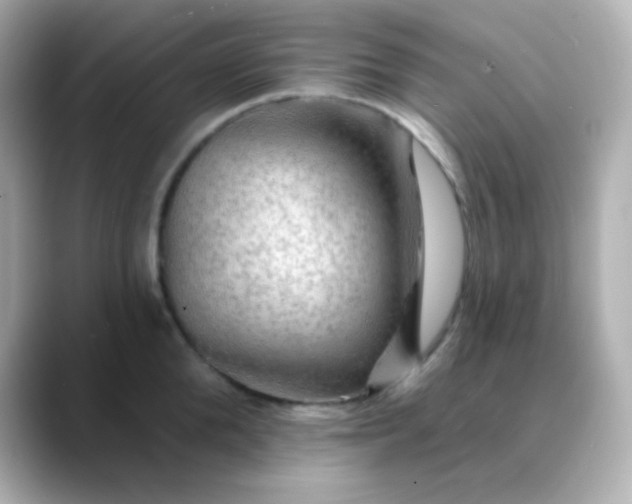 X0000088410904200706051151