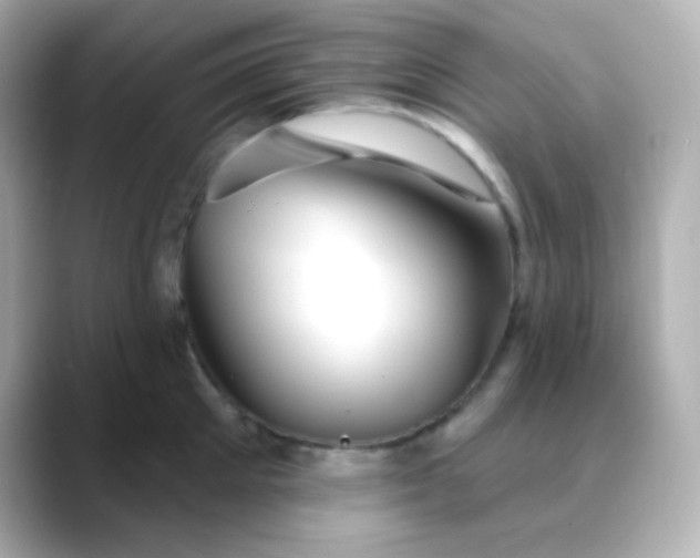 X0000088410905200706051151
