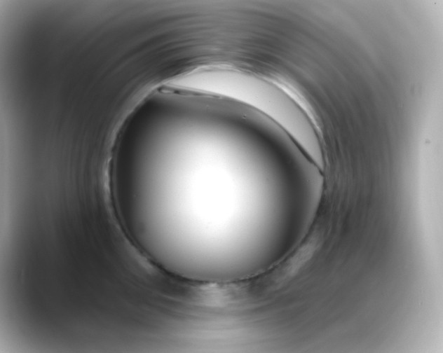 X0000088410906200706051151