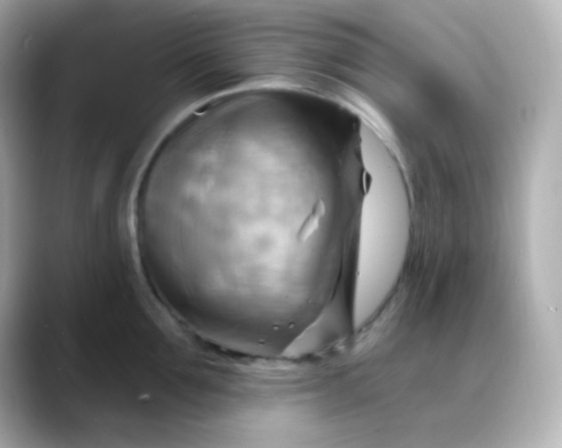 X0000088410907200706051151