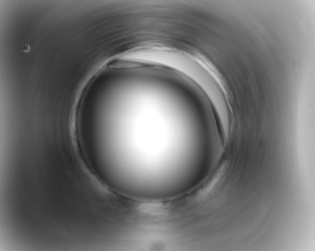 X0000088410909200706051151