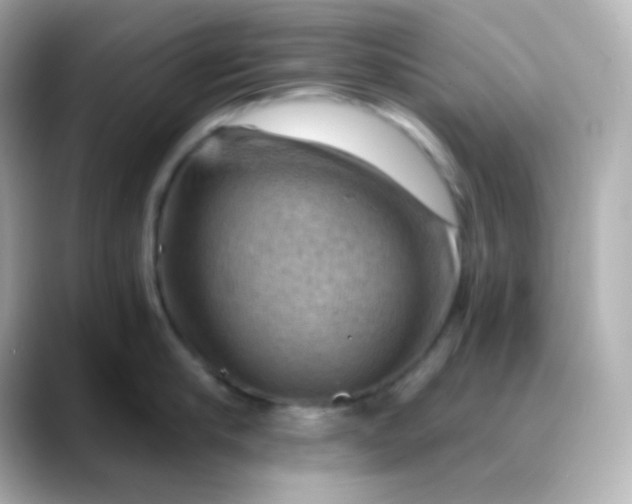 X0000088410910200706051151