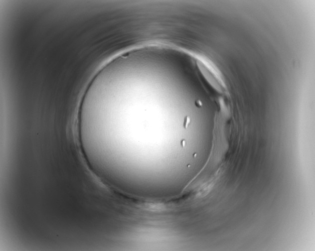X0000088410911200706051151