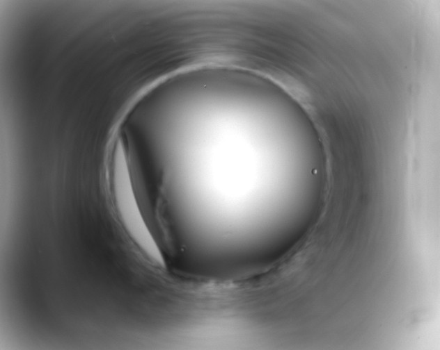 X0000088410912200706051151