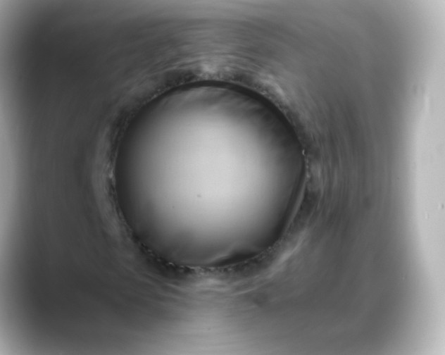 X0000088410913200706051151