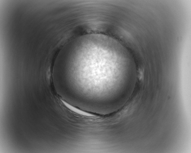 X0000088410915200706051151